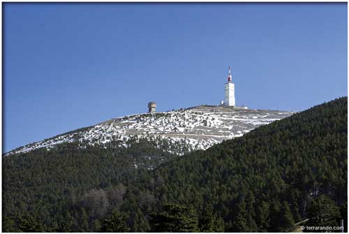 Randonnée Mont-Serein et l'abri du Contrat - versant Nord mont Ventoux