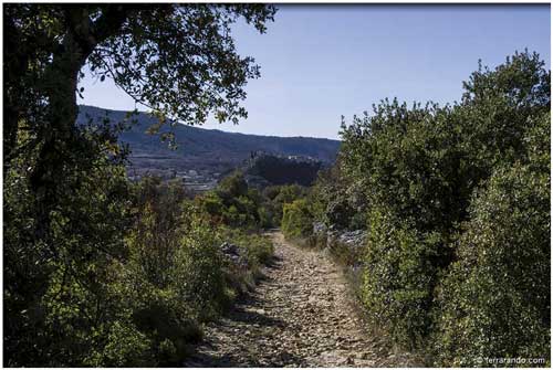 randonnée pédestre de Méthamis en Vaucluse