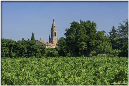 Randonnée pédestre de Violès le canal de Carpentras et le vignoble du Plan de Dieu