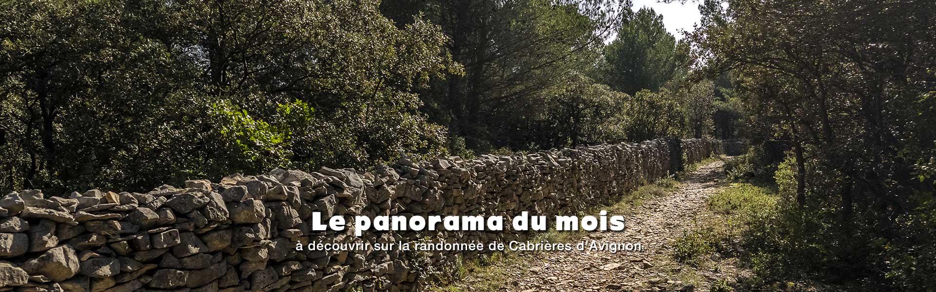 Panorama à découvrir sur la randonnée de Cabrières d'Avignon et le mur de la peste