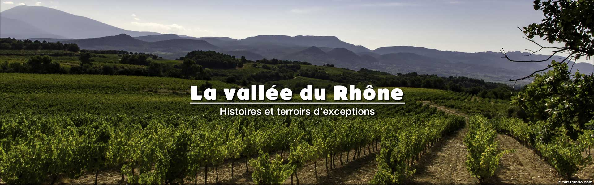 Randonnées pédestres dans la vallée du Rhône en Vaucluse