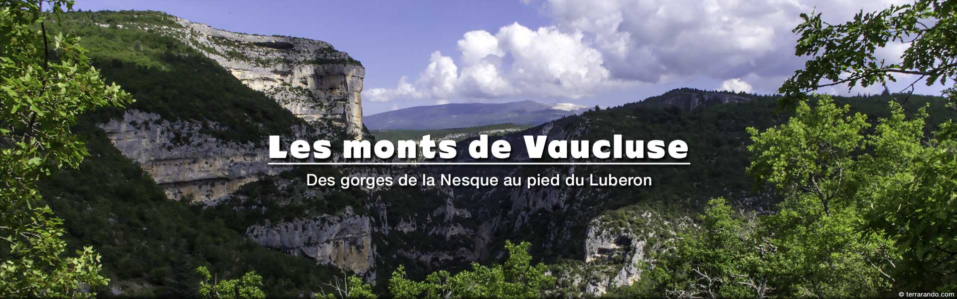 Randonnées pédestres dans les Monts de Vaucluse
