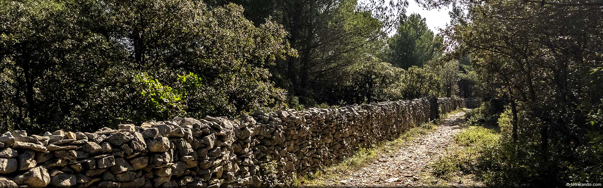 Randonnée de Cabrières d'Avignon et le mur de la Peste