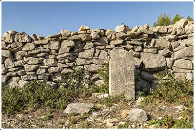 La randonnée de Cabrières d'Avignon, Monts de Vaucluse et mur de la peste