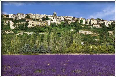 Randonnée pédestre de Sault en Provence, le chemin des lavandes